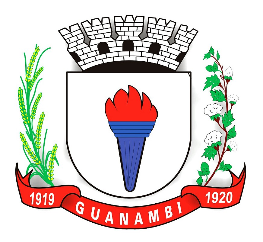 Brasão da cidade de Guanambi - BA