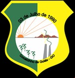 Brasão da cidade de Cocalzinho De Goias - GO