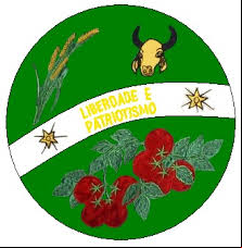 Brasão da cidade de Goianapolis - GO