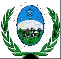 Brasão da cidade de Novo Gama - GO