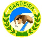 Brasão da cidade de Bandeira - MG