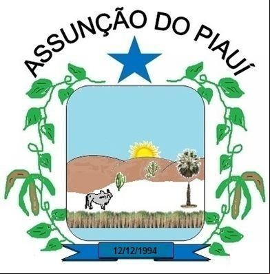 Brasão da cidade de Assuncao Do Piaui - PI