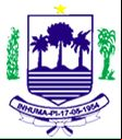 Brasão da cidade de Inhuma - PI