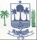Brasão da cidade de Palmeirais - PI