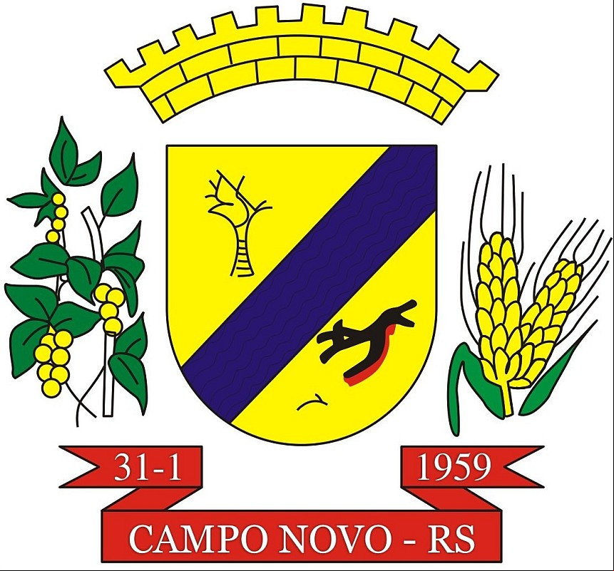 Cidade de CAMPO NOVO - RS 