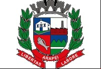 Brasão da cidade de Arapei - SP